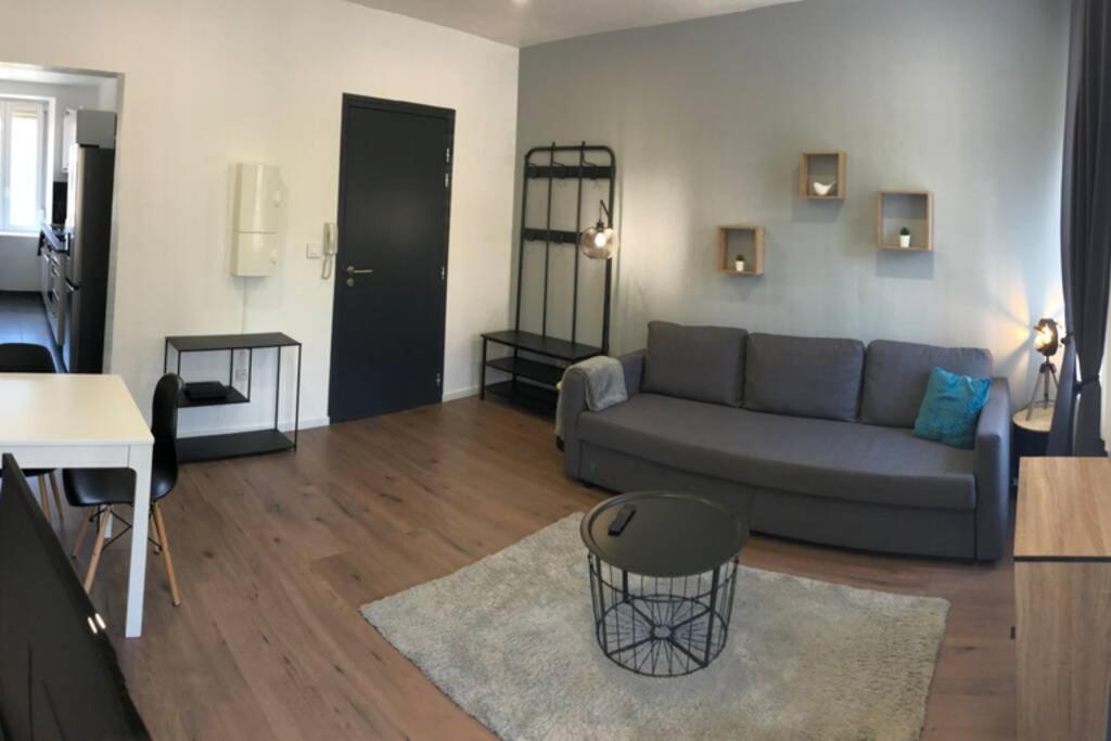 Appartement S'capades Mulhouse - Rénové 2021 - Wifi/Netflix Extérieur photo