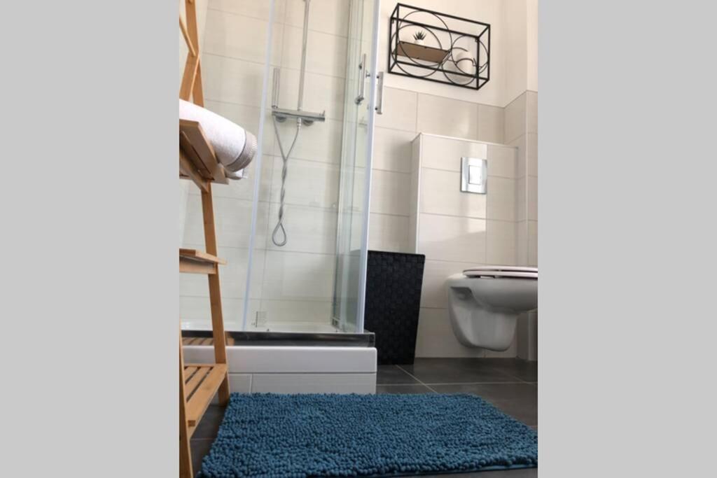 Appartement S'capades Mulhouse - Rénové 2021 - Wifi/Netflix Extérieur photo